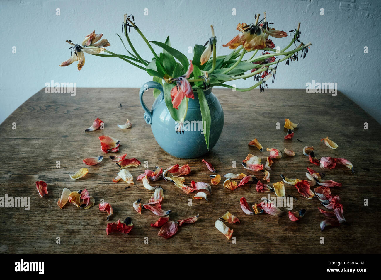 Dead flower petals falling from stems in vase Stock Photo