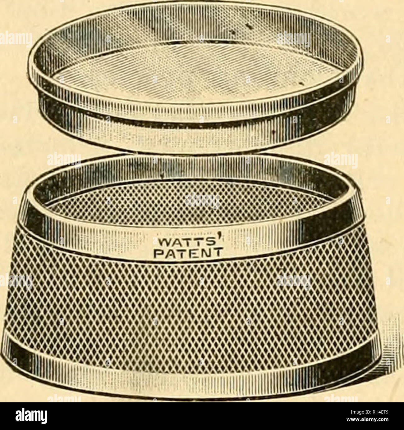 . British bee journal &amp; bee-keepers adviser. Bees. 150 THE BRITISH BEE JOURNAL. [April 14, 1910. overlooked ironwork have been, deeply coated with rust, and until the house itself has conjured up memories of the inhospitality meted out to departing measle microbes. But when I have gone, with mask and stiletto and cloak, to gloat over the bodies of my victims, I have found them, disinfected perhaps, but otherwise little the worse. Digging up their silken tunnels, I have found the sur- prised larvse doing their usual express journeys, travelling at will, headJight or tender foremost. I have  Stock Photo