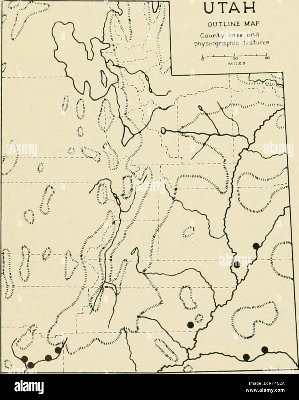 . Brigham Young University science bulletin. Biology -- Periodicals. Fig. 48. Salix lasiolcpis Benth. UTAH OUTLINE MAP County liUBB and physiogrciphic featurcB. Fig. 49. Salix nigra Marsh Salix scouleriana Barratt (Fig. 50) Scouler or fire willow, like Bebb willow, is wide- spread througliout Utah and not limited to stream- sides. It is a common understory tree or shrub in con- Fig. 50. Salix sioiilcnaiw Barratt Representative Specimens; Box Elder Co.. Raft River Mts., W.P. Cottam 2949, June 5, 1928 (BRY); Cache Co., Lo- gan Canyon, C.R. Ball 1866, August 18, 1914 (US); Daggett Co.. Red Canyon Stock Photo