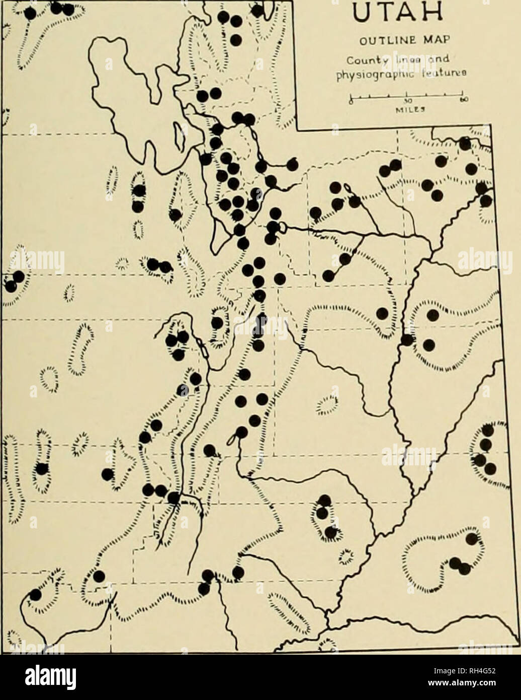 . Brigham Young University science bulletin. Biology -- Periodicals. Fig. 36. Prosopis pubescens Benth. ^mj UTAH OUTLINE MAP County linoB find phySiOfjraphiG tk^uturvo. Fig. 37. h'liinis lirginiana L. var. mclanocarpa (A. Ncls.) Moldenke Pniniis virginiana L. var. melanocarpa (A. Nels.) Moldenke (Fig. 37) Chokecherry is found throughout Utah's moun- tains in a variety of habitats. Under favorable condi- tions it may form large streamside groves where the trunks are many inches in diameter. However, it is also an early invader of talus slopes where plants, a foot or two in height, may be many  Stock Photo