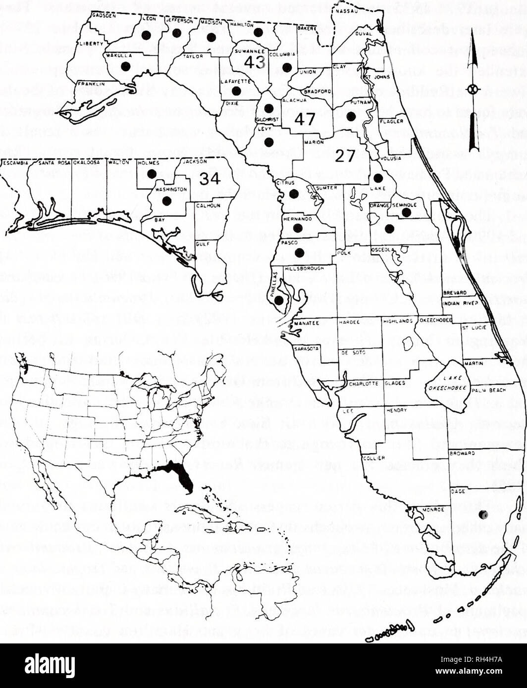 . Brimleyana. Zoology; Ecology; Natural history. 12 Richard Franz, Judy Bauer and Tom Morris. Fig. 1. Map of Florida showing county locations. Numbers of caves are shown for Alachua, Jackson, Marion, and Suwannee counties. Dots indicated other important cavernous counties. (3), Lake (2), Washington (2), Dade (2), Holmes (1), Jefferson (1), Pinellas (1), and Putnam (1) counties, Florida, and Decatur (1) and Doughtery (1) counties, Georgia. Caves theoretically could exist anywhere in Florida and south Georgia since most of this region is underlain with extensive beds of Oligocene and Eocene lime Stock Photo