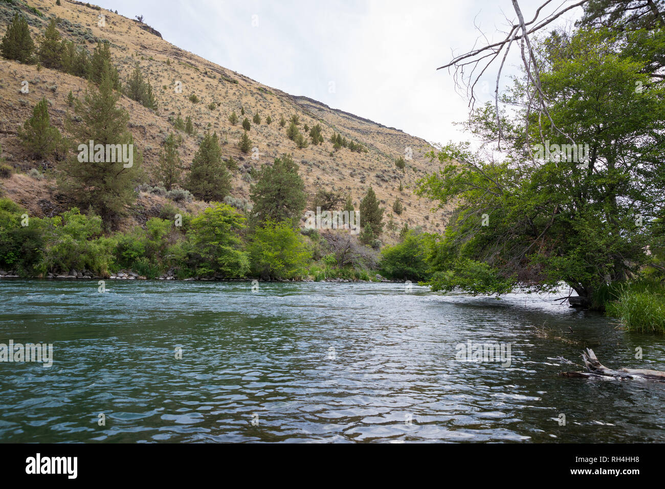 Landscape scenic of the Lower Deschutes River in the Wild and Scenic