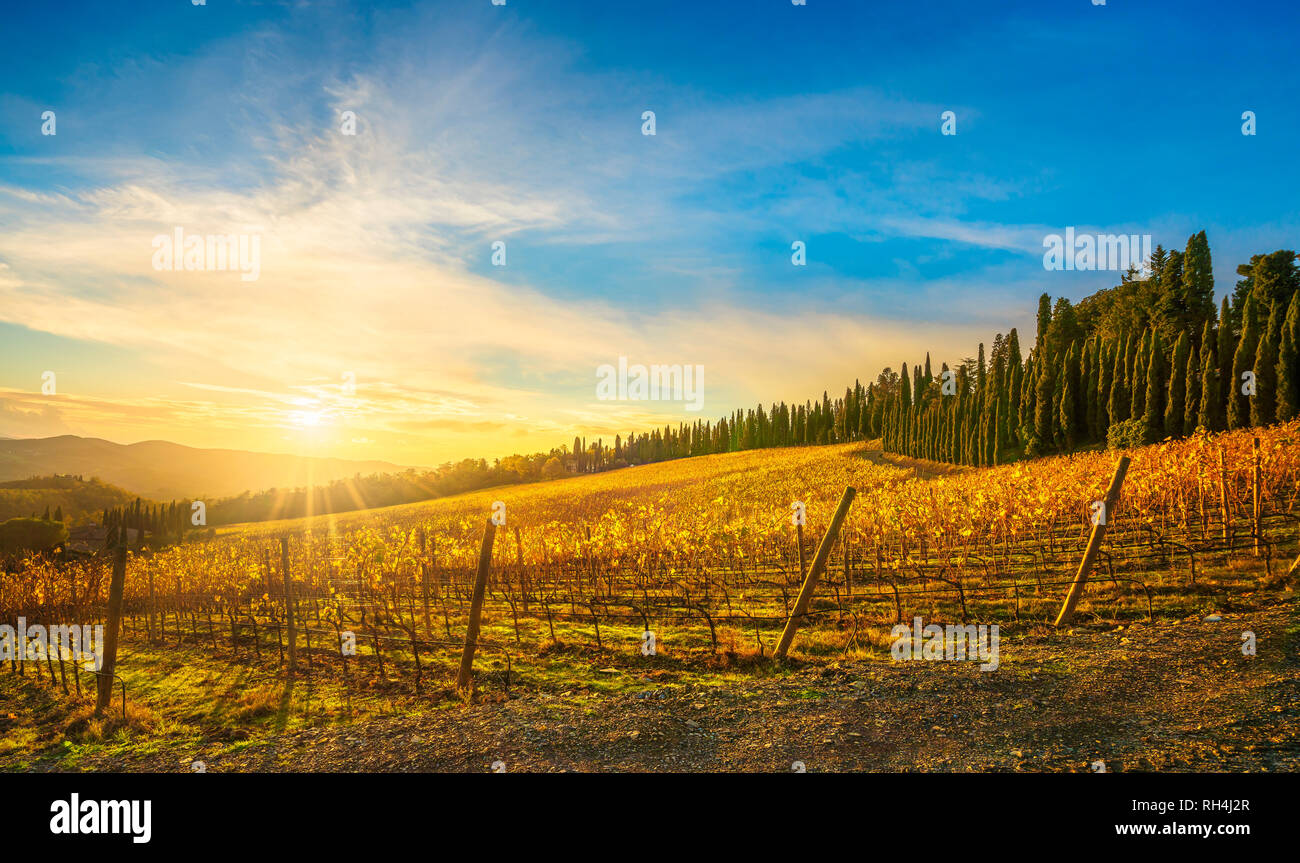 Radda in Chianti vineyard and panorama at sunset in autumn. Tuscany, Italy Europe. Stock Photo