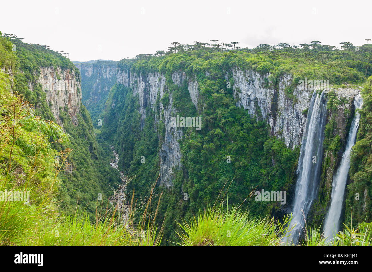 Beautiful Landscape Of Itaimbezinho Canyon And Green Rainforest Cambara Do Sul Rio Grande Do Sul Brazil Stock Photo Alamy