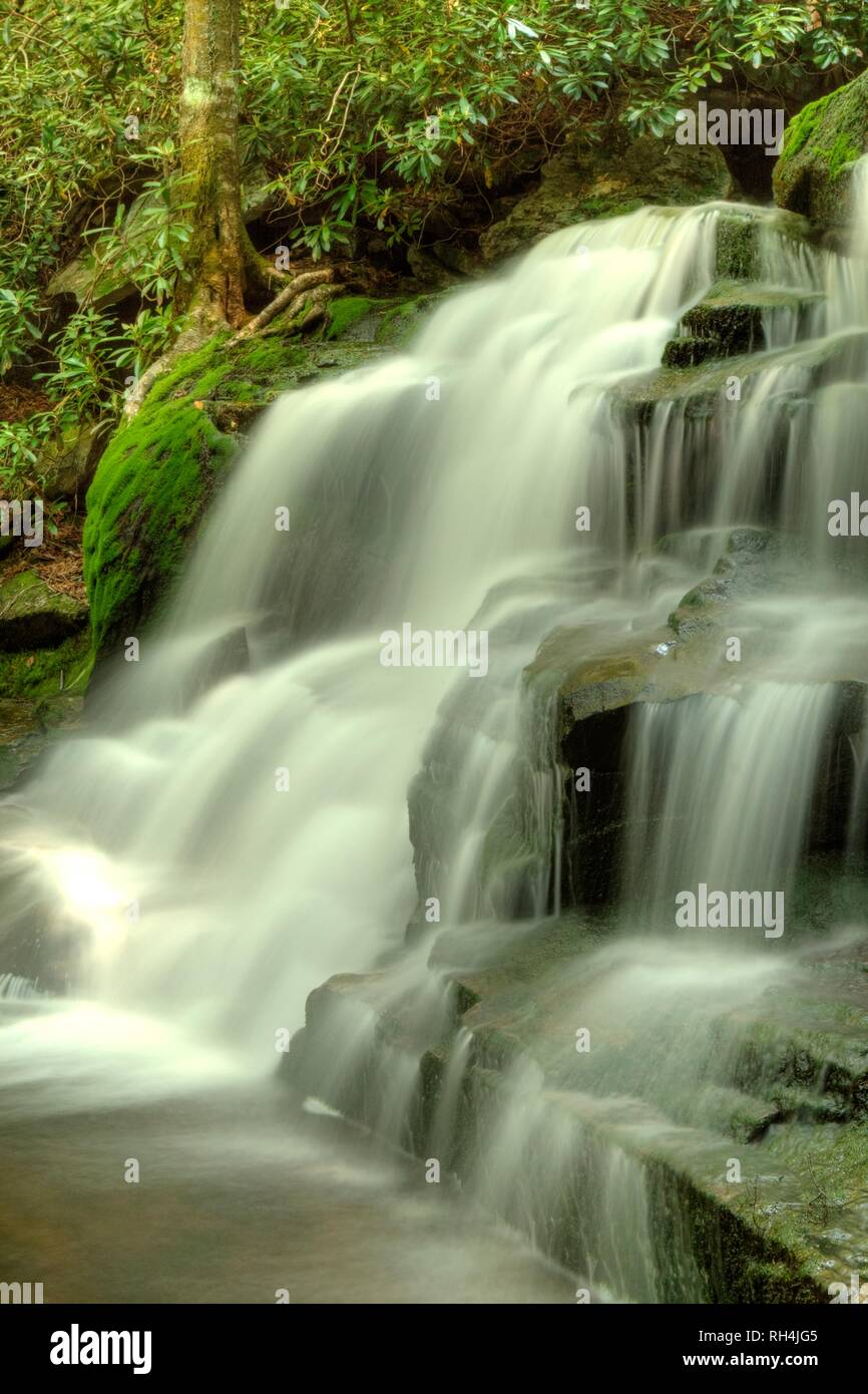 Blackwater falls state park elakala hi-res stock photography and images ...