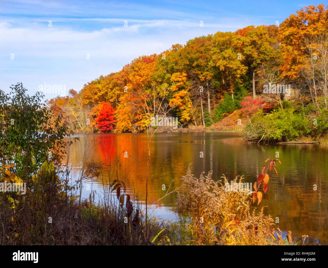 Colorful fall trees reflecting over Lake Glacier in Youngstown, Ohio ...