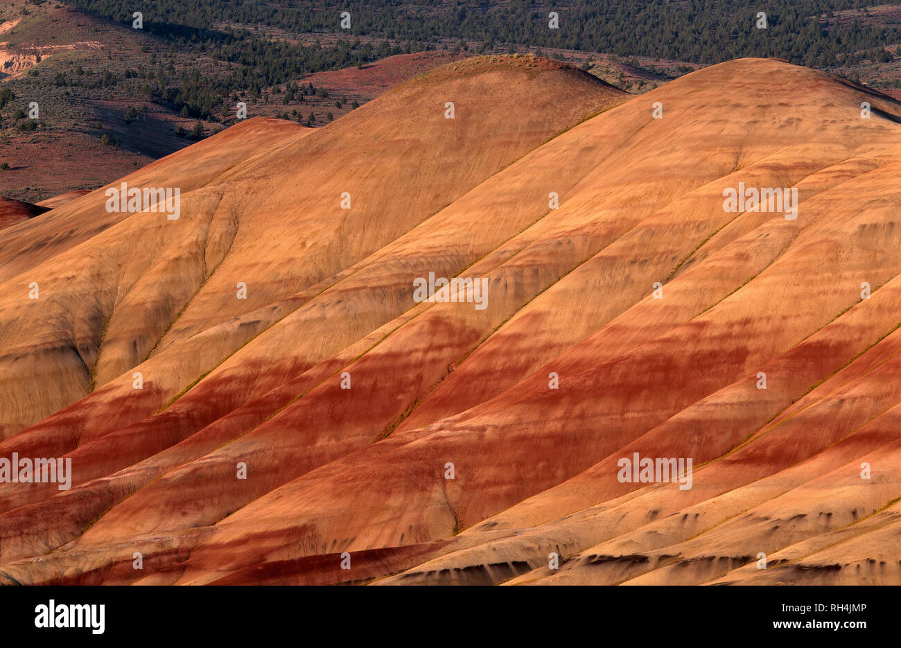 USA, Oregon, John Day Fossil Beds National Monument, Painted Hills Unit