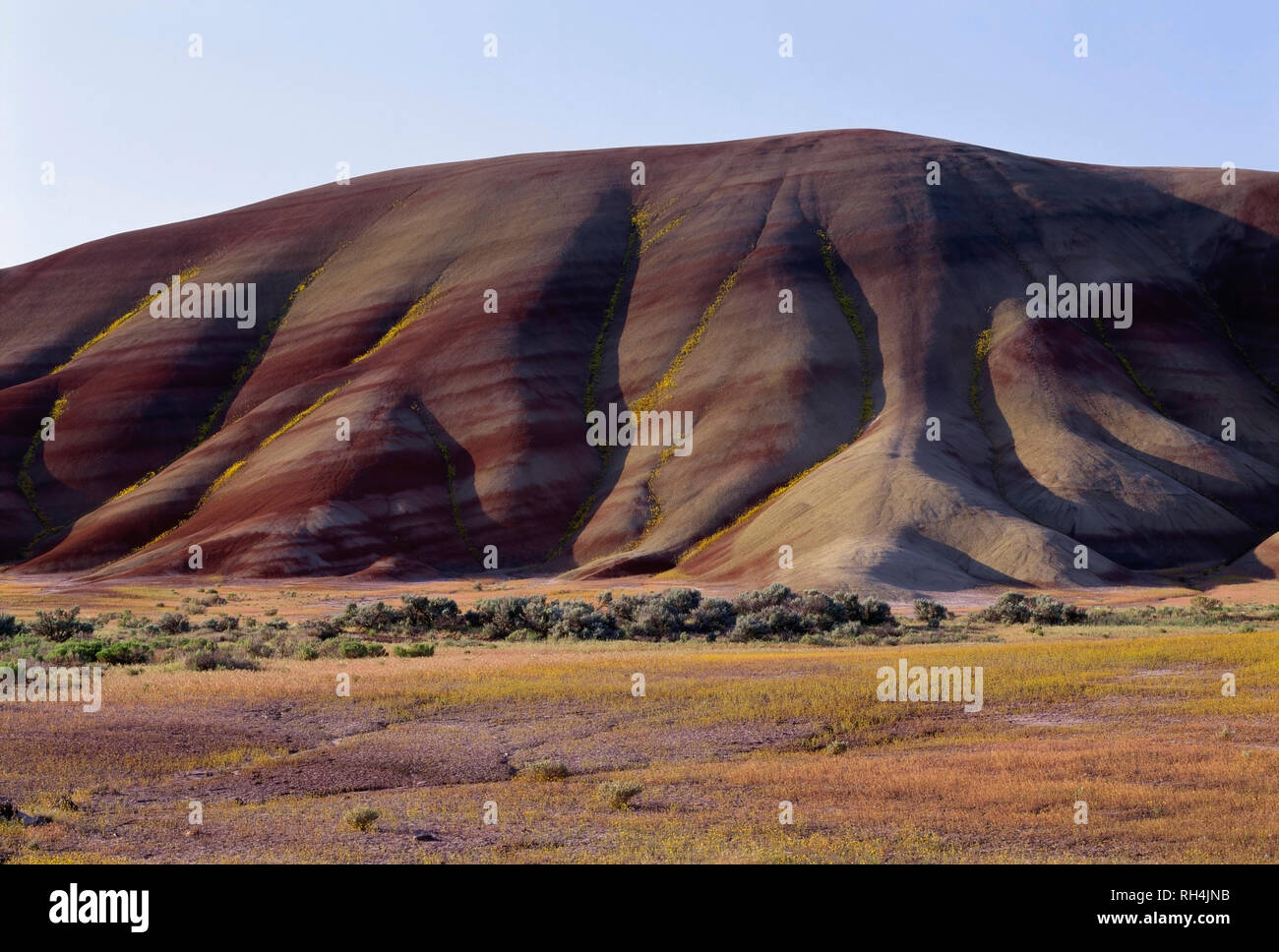 USA, Oregon, John Day Fossil Beds National Monument, Painted Hills Unit