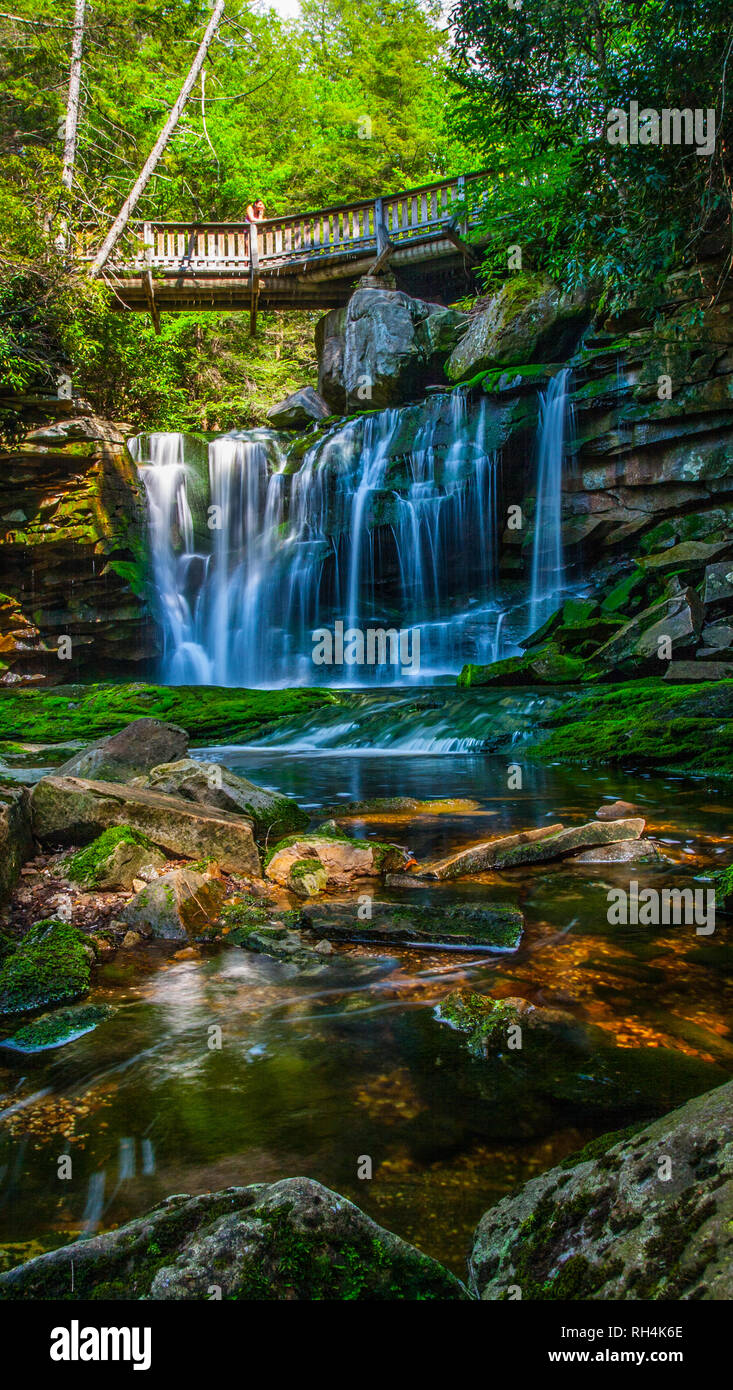 Elakala Falls West Virginia Stock Photo 234286822 Alamy