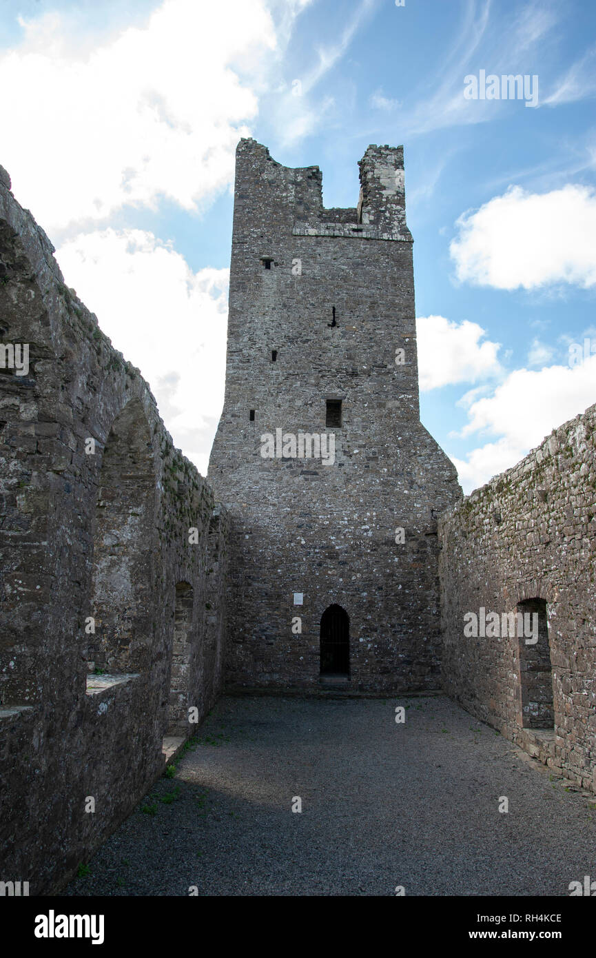 Skryne Church ruin, Meath, Ireland Stock Photo