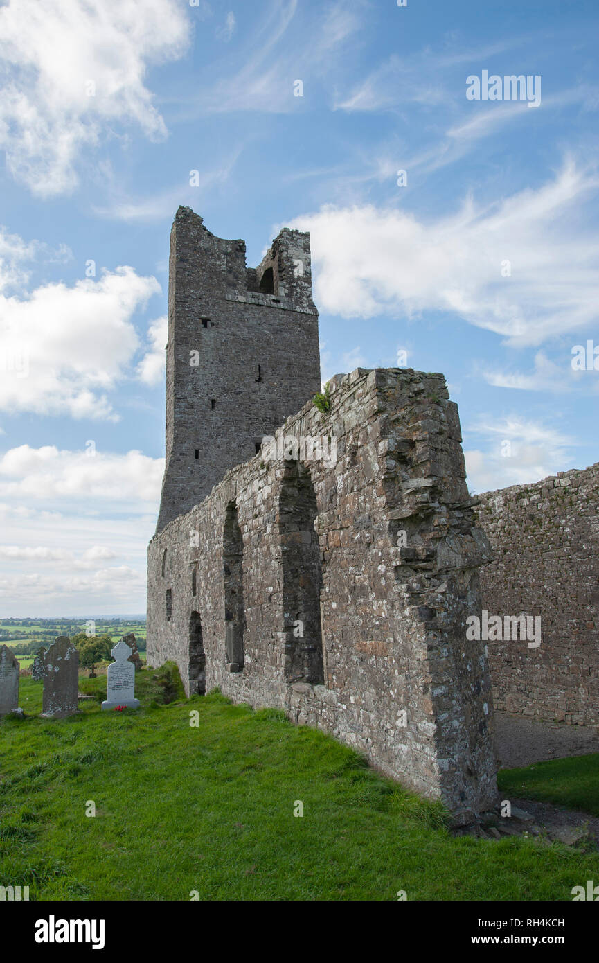 Skryne Church ruin, Meath, Ireland Stock Photo