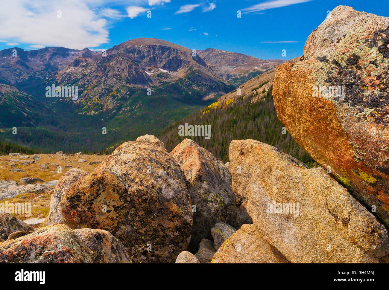 Ute Trail, Ute Crossing, Trail Ridge Road, Rocky Mountain National Park ...