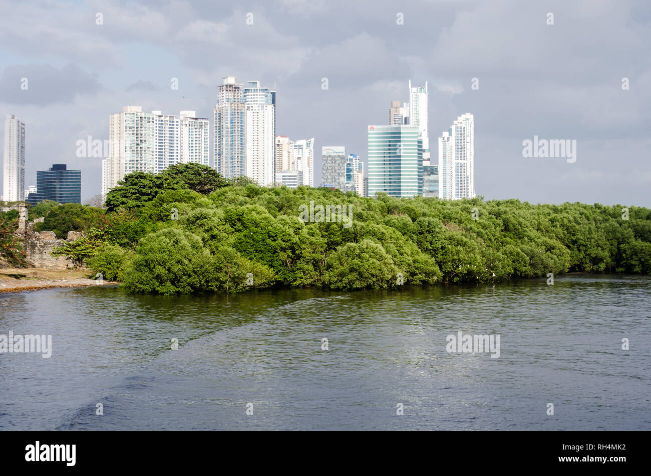 Panama Bay mangroves and Costa del Este neighborhood in the background Stock Photo
