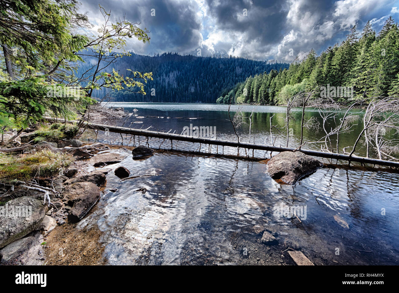 Glacial Black Lake surrounded by the forest in South Bohemia Stock Photo