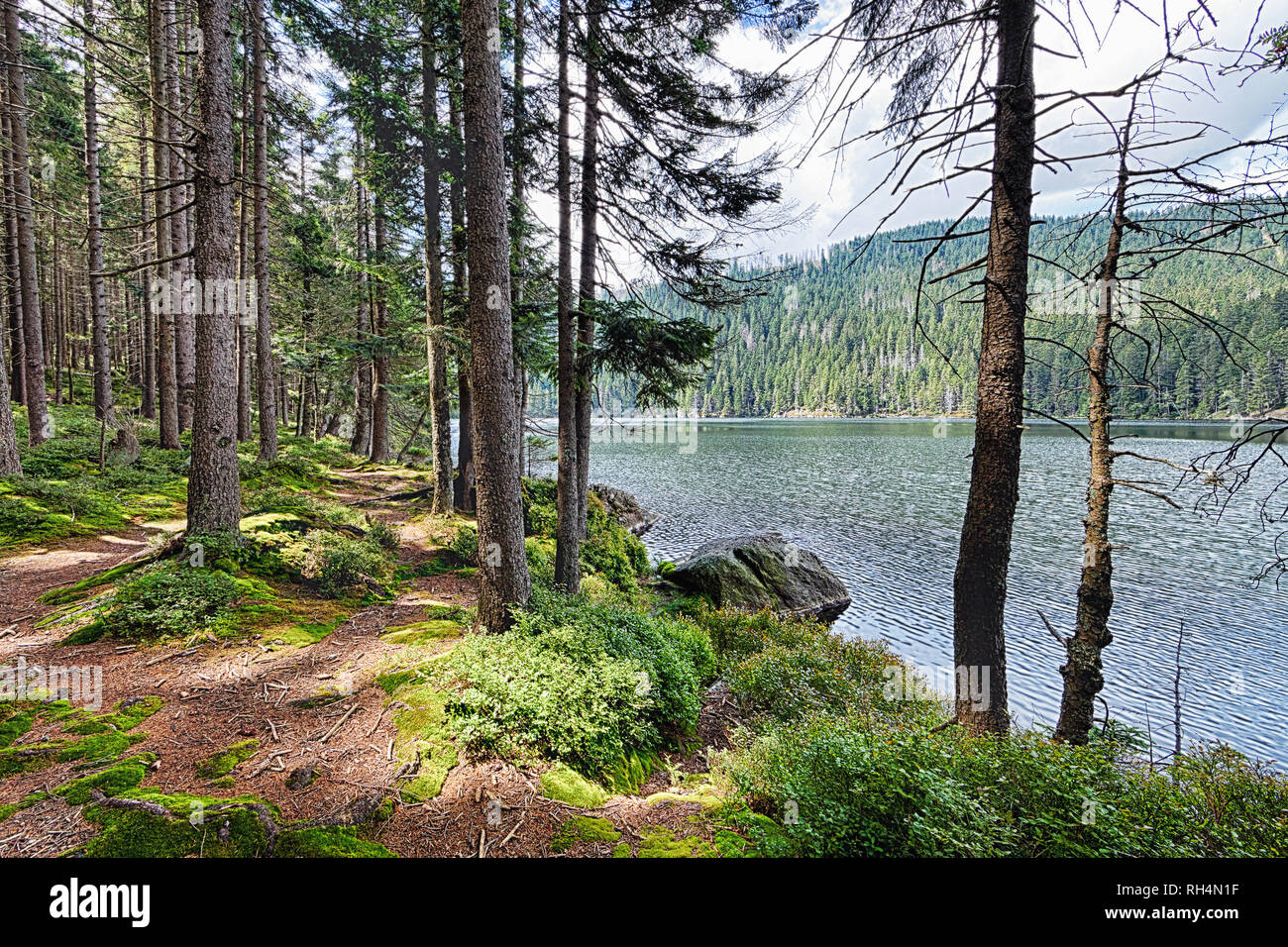 Glacial Black Lake surrounded by the forest in South Bohemia Stock Photo