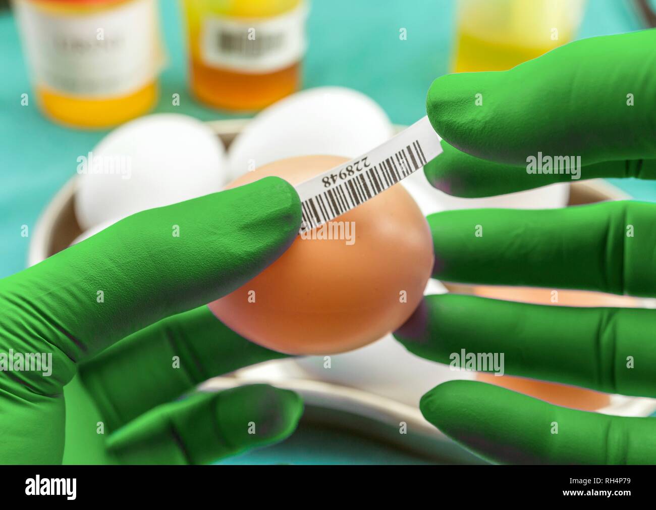 Scientist at laboratory investigates the crisis caused by the fraud of the contaminated eggs with fipronil in Spain Stock Photo