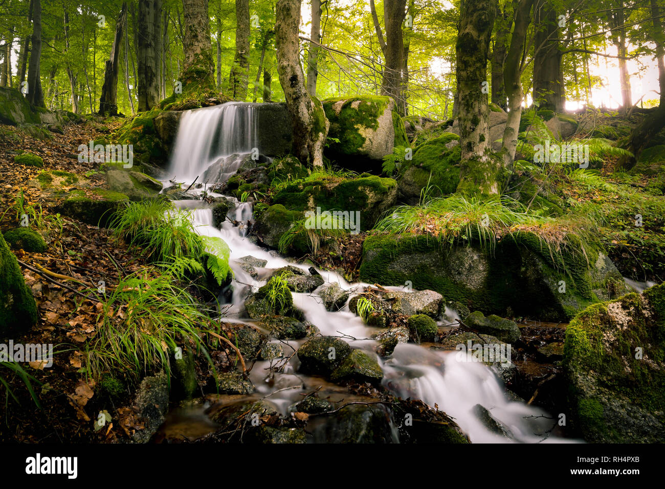 Wunderschöner Wasserfall im Thüringer Wald umgeben von grünen Pflanezn Stock Photo