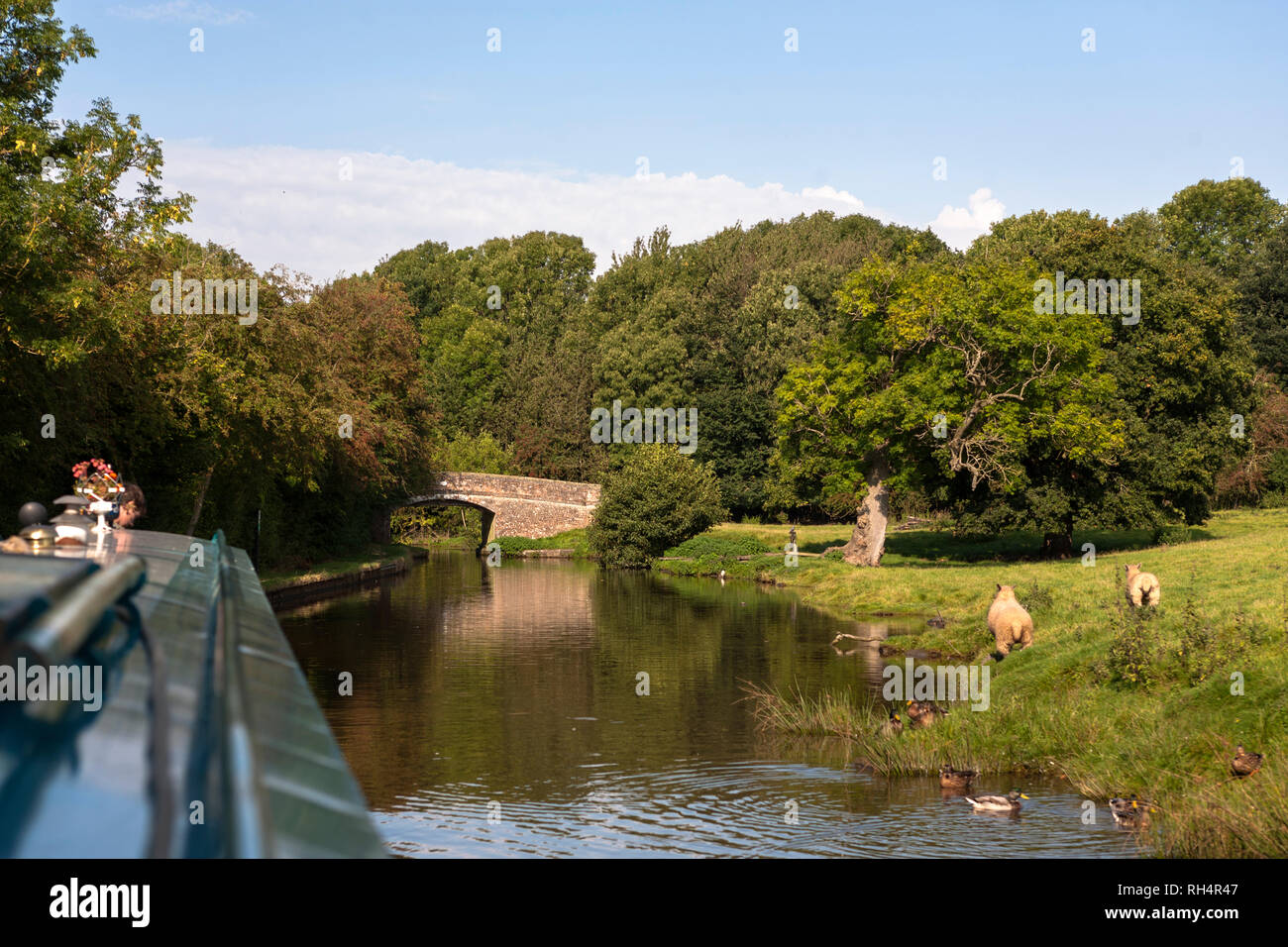 Approaching Paddock No. 2 Bridge on the Llangollen Canal near Hindford, Shropshire, England Stock Photo