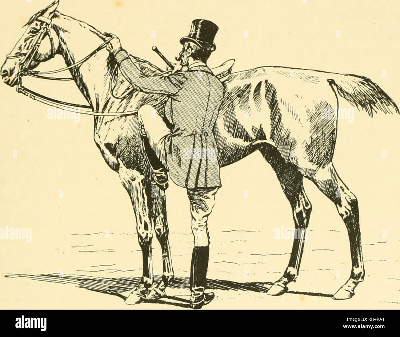 Breaking the quite horse