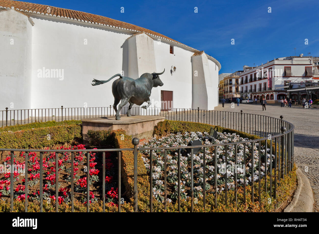 RONDA ANDALUCIA SPAIN THE BULLRING THE OLDEST IN SPAIN AND STATUE OF A SPANISH BULL Stock Photo
