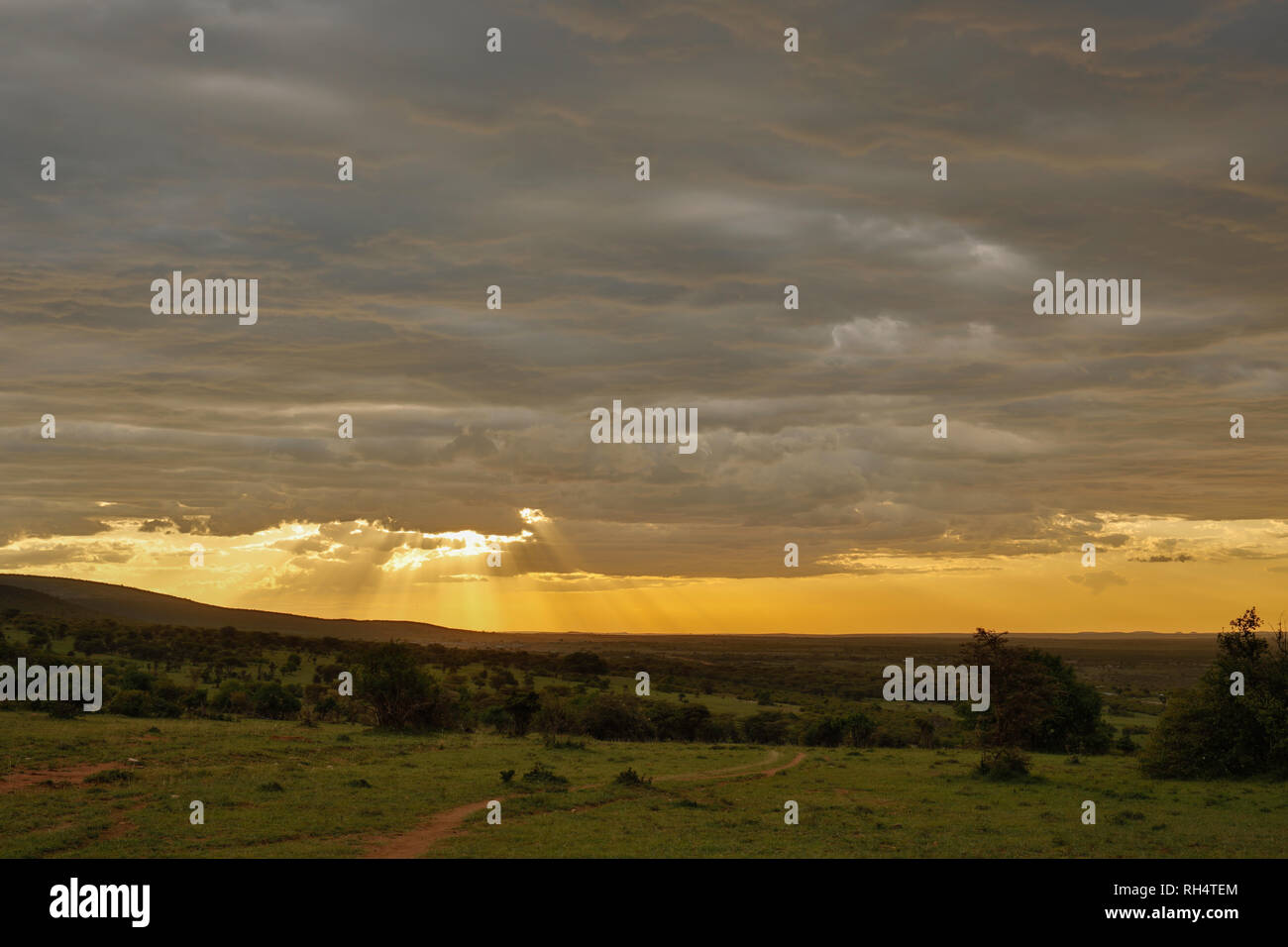 Masai mara safari sunset hi-res stock photography and images - Alamy