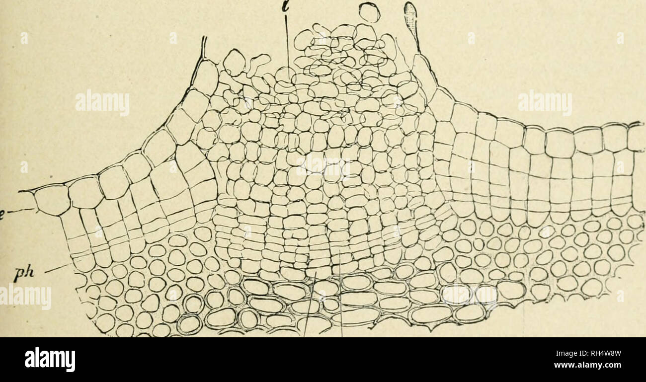 Impervious Walls High Resolution Stock Photography and Images Alamy