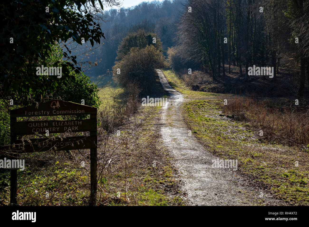 Queen Elizabeth Country Park Stock Photo