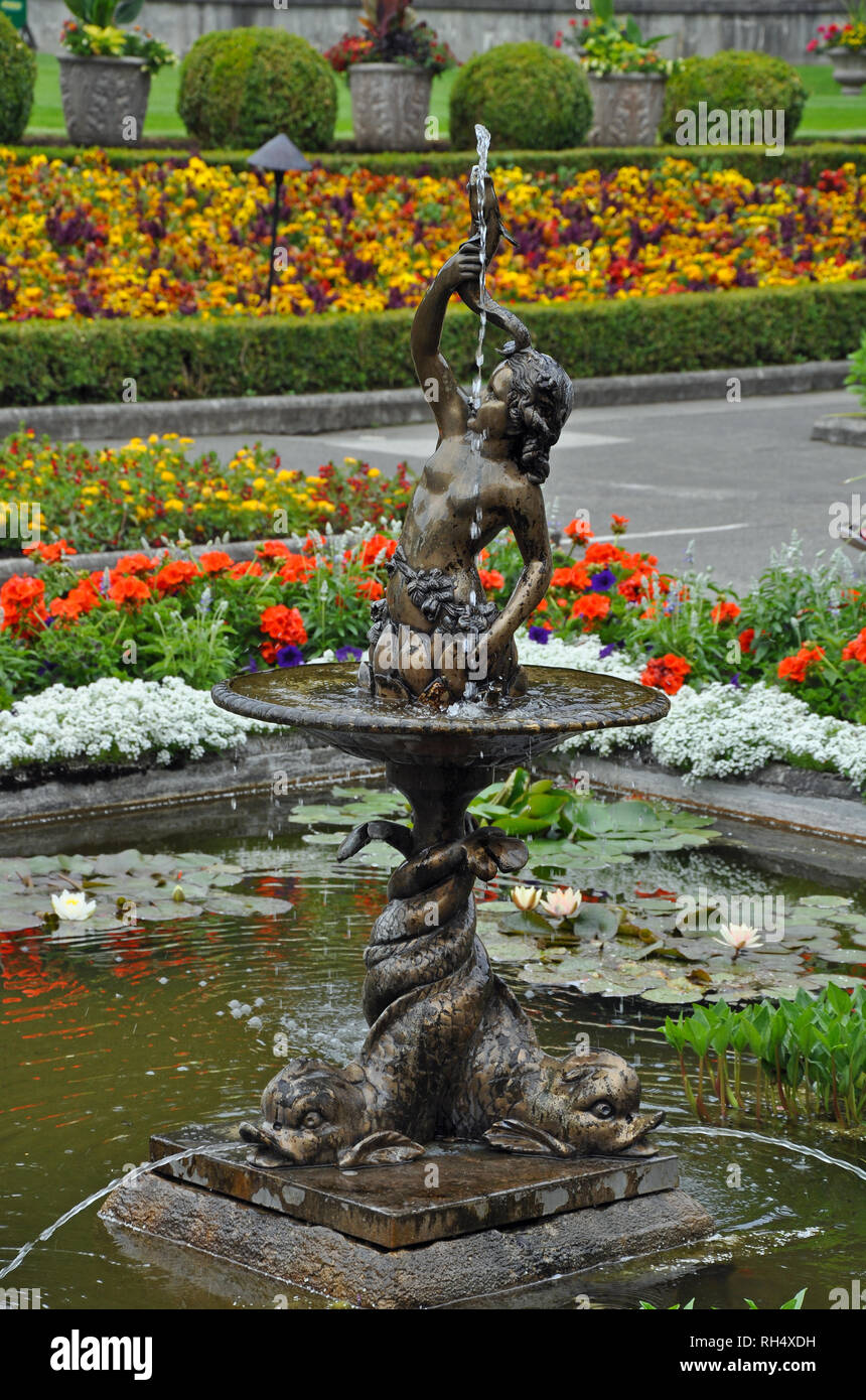 Cherub water fountain in botanical garden Stock Photo Alamy