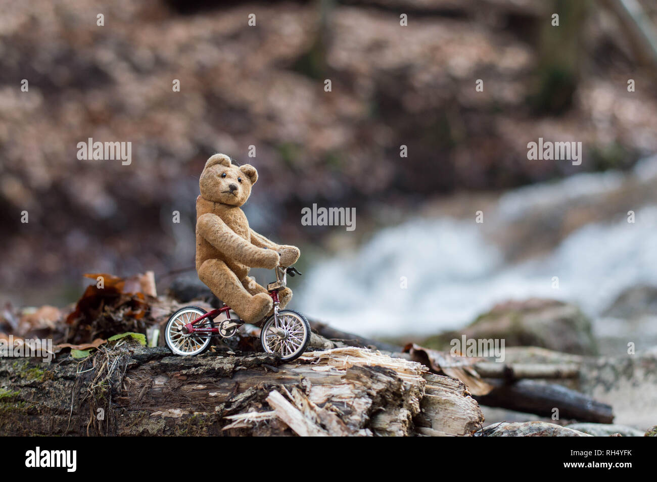 Little teddy bear hiking with bicycle - mountain bike tour Stock Photo ...