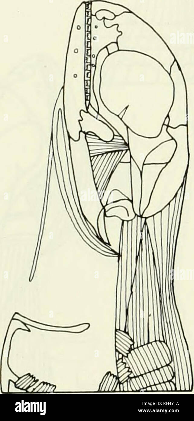 Sd x hi-res stock photography and images - Page 8 - Alamy