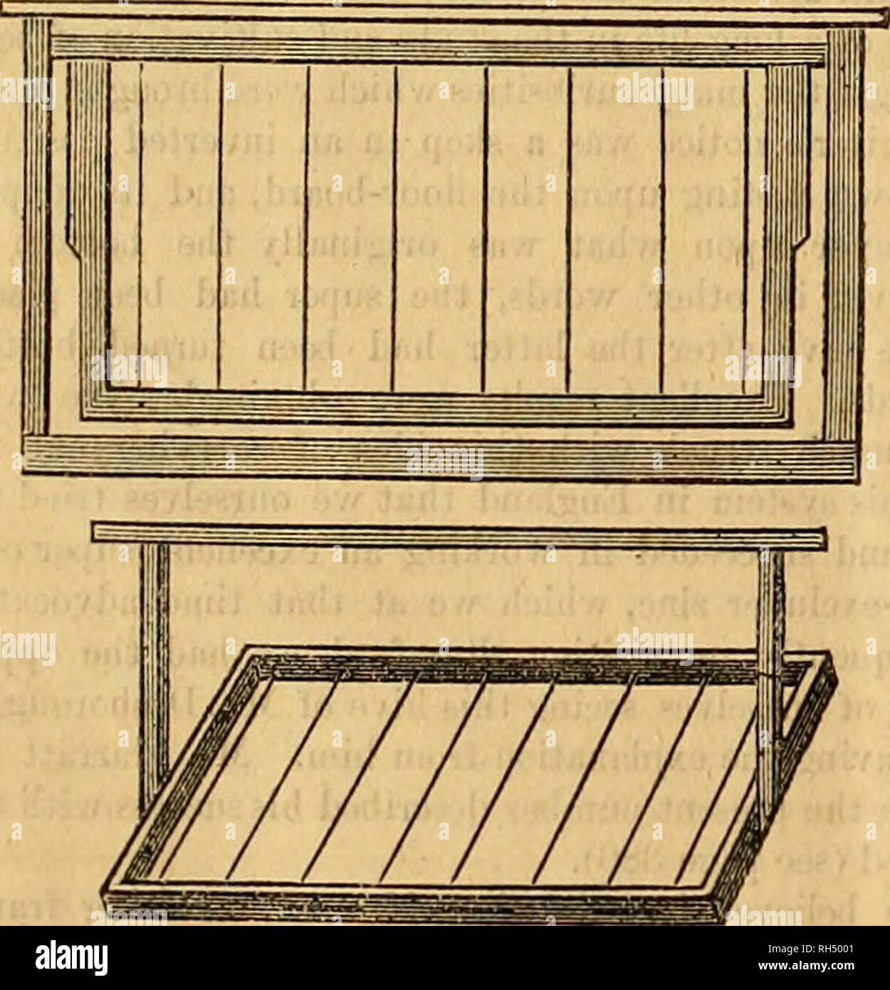 British Bee Journal Bee Keepers Adviser Bees Neighbour S Frame
