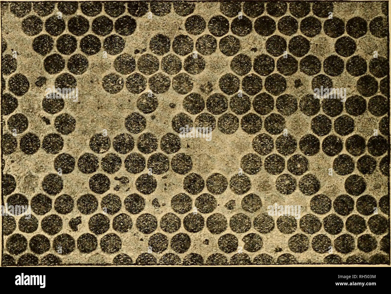 Page 5 Sometimes Accompanied High Resolution Stock Photography And Images Alamy