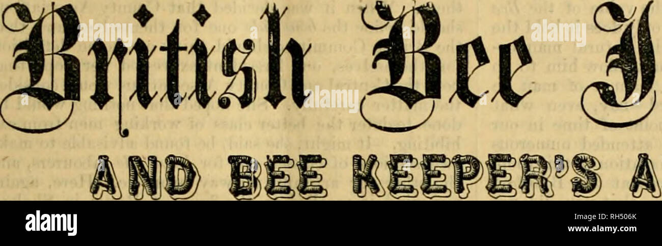 . British bee journal &amp; bee-keepers adviser. Bees. THE. fltttm [No. 122. Vol. XI.] MAY 15, 1883. [Published Fortnightly.] &lt;£bit0rial, fjatms, #r. WHO 76' THE BONA FIDE COTTAGER? [Paper read by the Eev. H. R. Peel at the Quarterly Conversazione of the British Bee-keepers' Association, April 25, 1883.]' At the General Meeting of the British Bee-keepers' Association, held in this room on the loth of February, 1882, the liev. W. E. Burkitt proposed, and the JRev. J. II. Dixon seconded, ' That the term &quot; cottager,&quot; as re- ferred to in the British and County Associations' prize sche Stock Photo