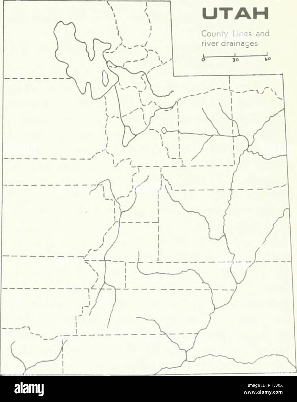 . Brigham Young University science bulletin. Biology -- Periodicals. Bk)1.o(;k AL SEHIE.S, ()i.. 16, No. 3 The Boraginaceae of Utah 13 ficult to distinguish from C. kehetjana and C. pattersonii. Beaver Co., 11.5 mile.s east of Milford at the Gran- ite Nfountain Pass, B. Mapiire 20995 (UTC); Bo. Elder Co.. R;ift River Mountain's, CM. Alder 132 (UT); Juab Co.. Deep Creek Range, Granite Greek, Maguire &amp; Holmgren 21904 (UTC); Utah Co., Thistle, M.E. Jones 5370 (UC). 3. Crijptantha angustifolia (Torr.) Greene, Pittonia 1:112. 1887. Erithcliitim angustijolium Torr. Pacif. R. R. Reports 5:363.  Stock Photo