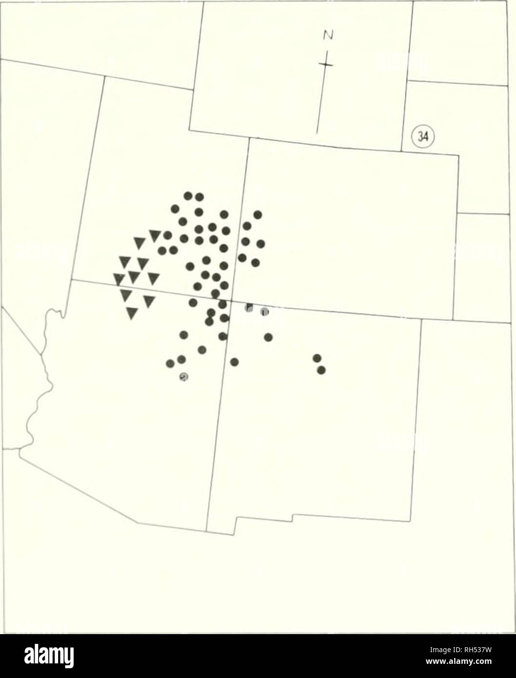 . Brigham Young University science bulletin. Biology -- Periodicals. Map. No. 33. Harts of western Idaho and eastern Oregon. Range of C propria (Ncls. &amp; Maebr.) Payson.. Map No. 34. Paris of western United States. Range of/i(/i'o- canescens: Ovar. fiiliocanescens (Gray) Payson;.% var. echi- noides (Jones) Iliggins. 34a. var. fulvocancsccns Cryplanlliafiilrocaiicsccns (Wiits.) I'aysoii vai. ////nÂ»- cviu'sccns luilrichiuin f:,k&gt;mera!um var. '.' fiilyocaiicscciis S Wats. Bot. Kinghp. 243. 1871. Kri I rich ill 1)1 fulvocancsccns Clrav. Proe. .m. .Acad. lOdl. 1875. Krvnitzkia fulvocancscc Stock Photo