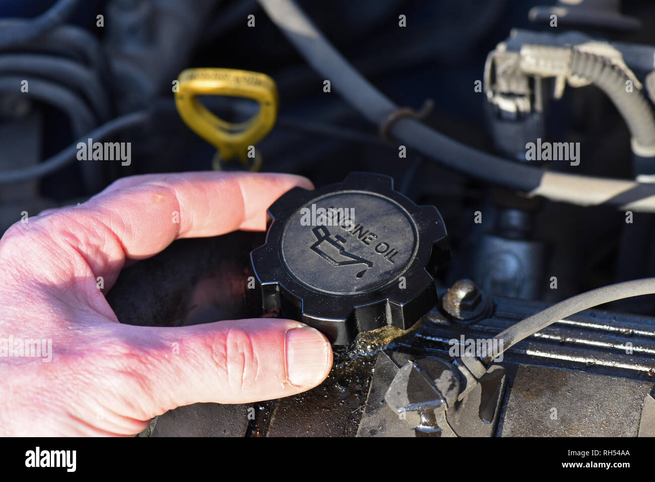 person topping up oil on vehicle engine Stock Photo Alamy