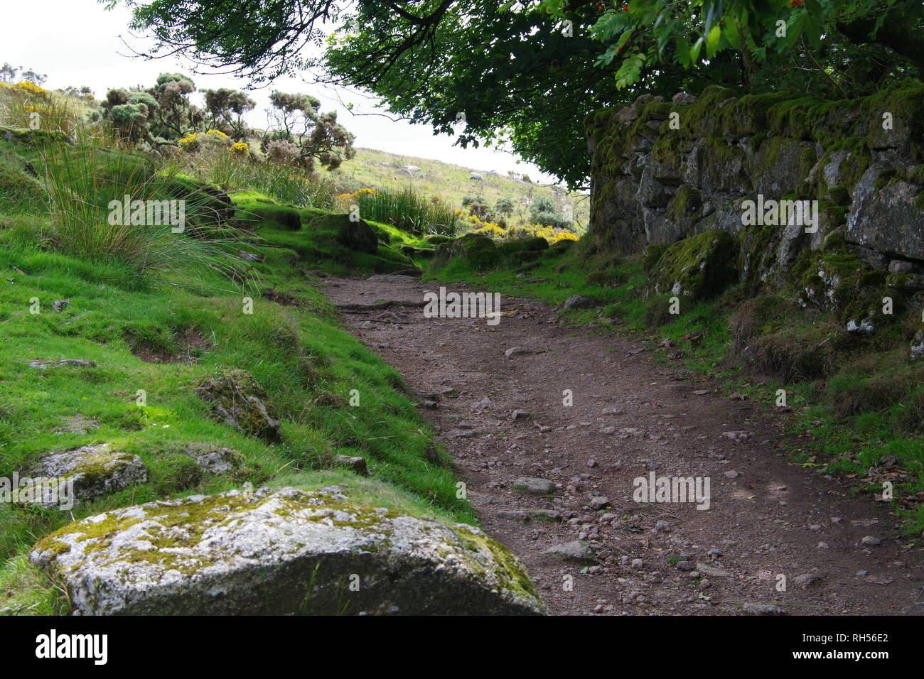 Country Path by a Drystone Wall. Dartmoor National Park, Devon, UK. Stock Photo