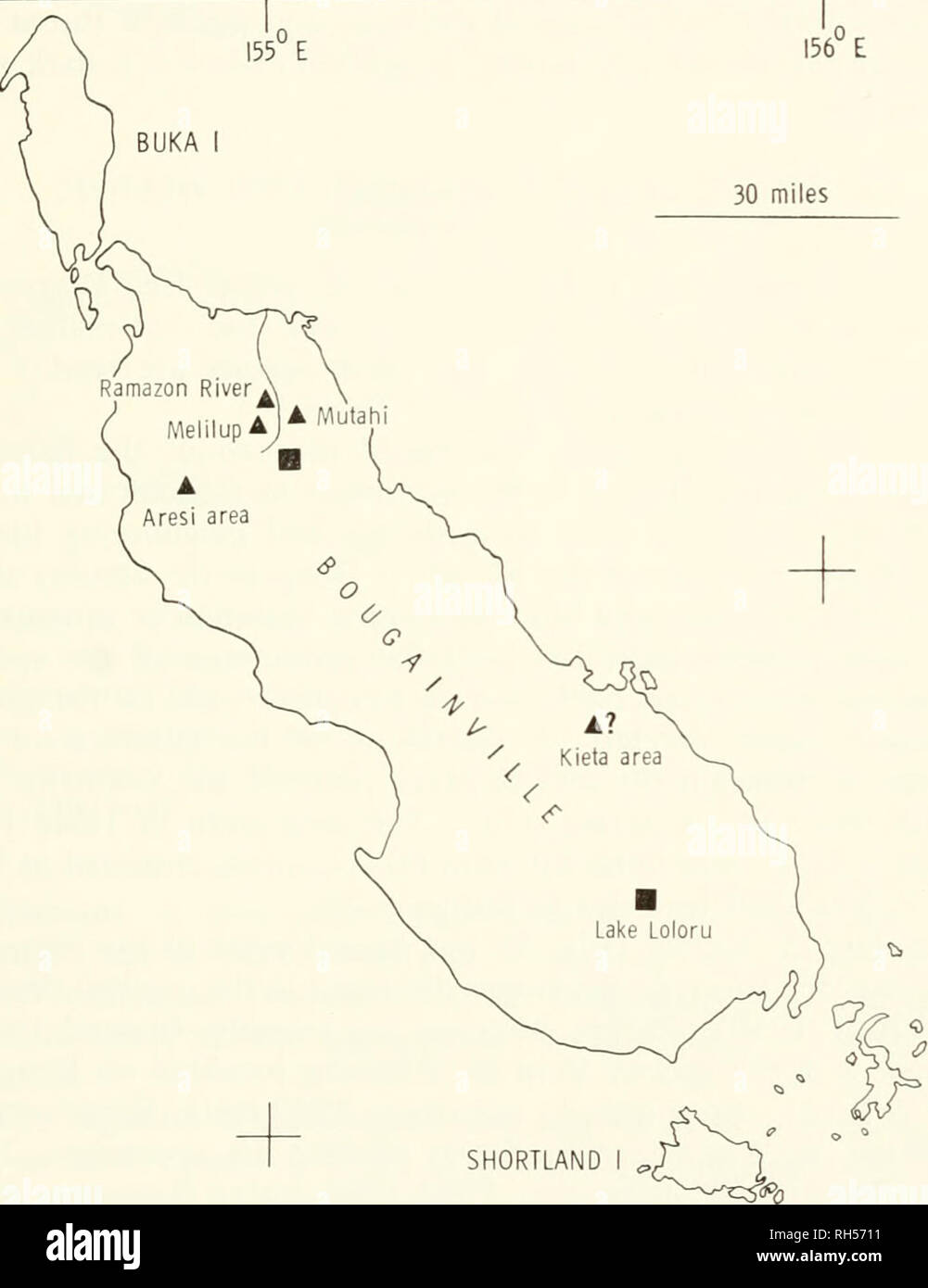 . Breviora. 1967 NEW BOUGAINVILLE SKINK Distribution (Fig. 2): The seven known specimens of S. frago- sus are from between 4000-4300 feet, in the central highlands of Bougainville. Six specimens were taken in southcentral Bougain- ville (Lake Loloru, 4300 feet) and the seventh was collected in northeastern Bougainville (near Mutahi, 4000 feet). The 2 locali- ties are approximately 70 miles apart. 156° E 30 miles 6°S 7°S SHORTLAND. 6°S FAURO 7°S- I55°E MONO I C^ 156° E Figure 2. Map of Bougainville, Solomon Islands, showing the known collecting localities for Sphenomorphus fragosus (squares) an Stock Photo