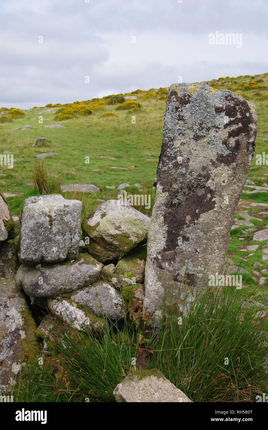 Close Up of a Lichen Mottled Granite Gate Boat along a Drystone Wall. Dartmoor National Park, Devon, UK. Stock Photo