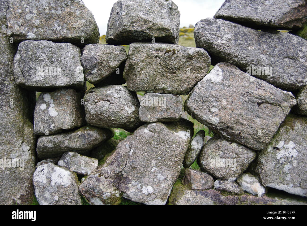 Close Up of a lichen Mottled Drystone Wall. Dartmoor National Park, Devon, UK. Stock Photo