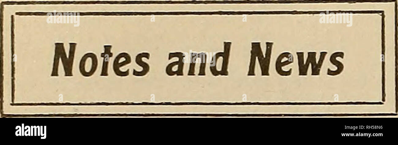 donathan mitchell shoes