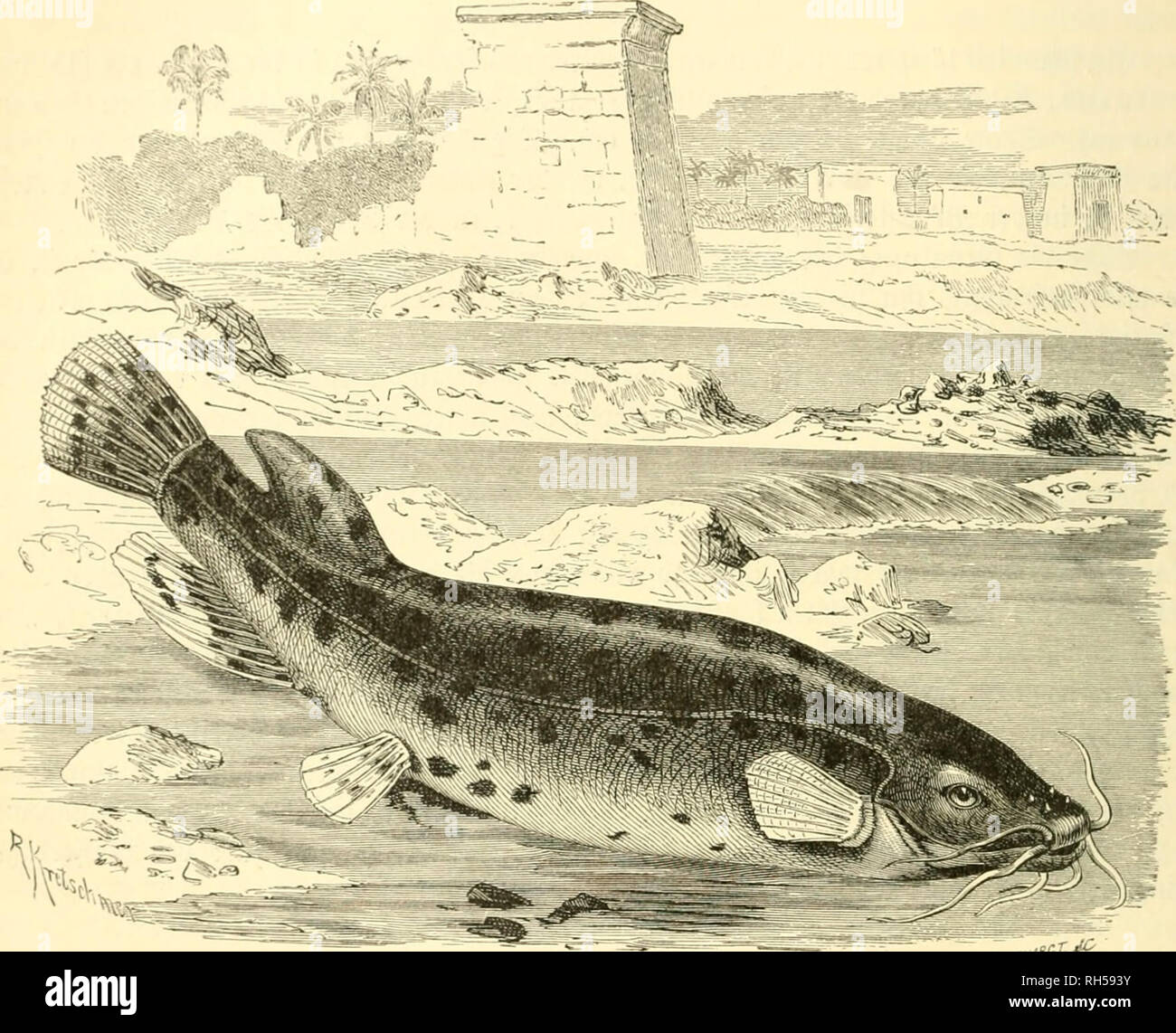 Cf Karten High Resolution Stock Photography And Images Alamy