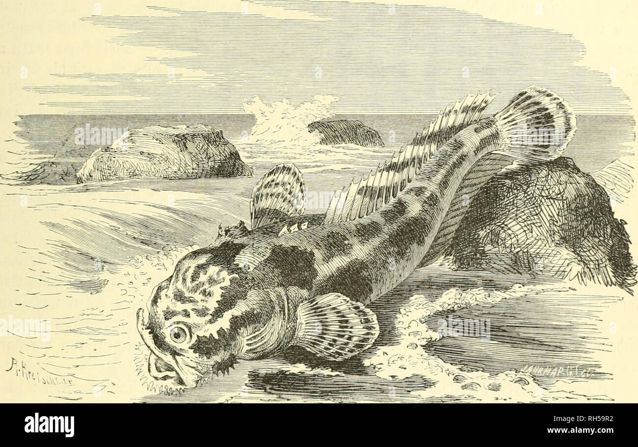 Cf Karten High Resolution Stock Photography And Images Alamy