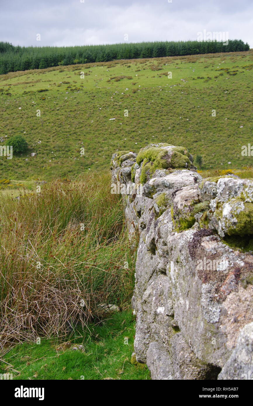 Drystone Wall. Dartmoor National Park, Devon, UK. Stock Photo