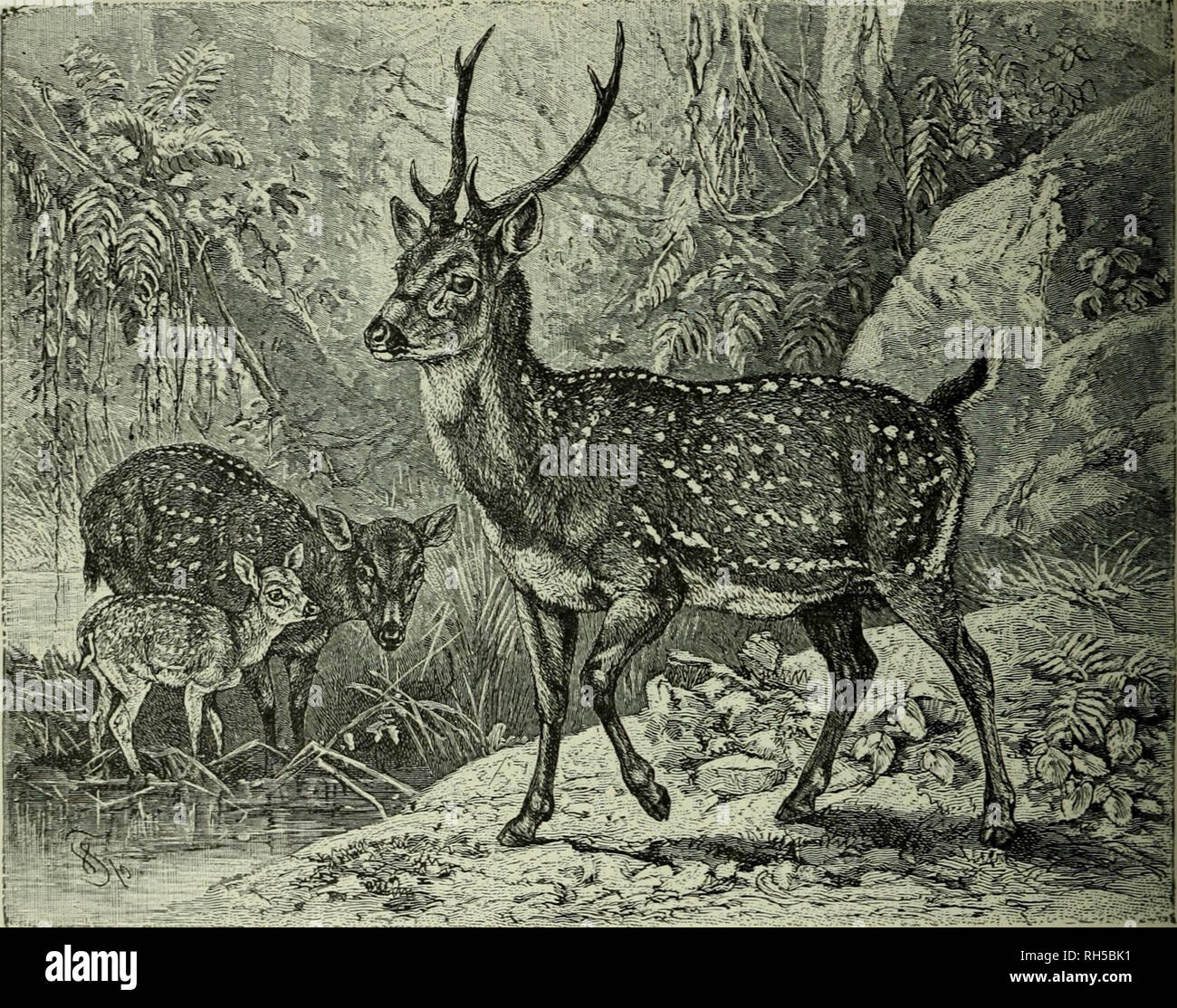 Principal Axis Hi Res Stock Photography And Images Page 3 Alamy