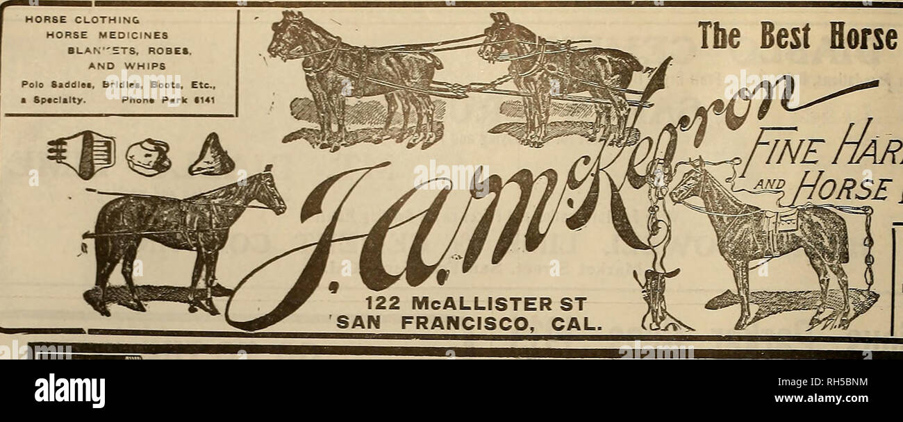 best boots for working with horses