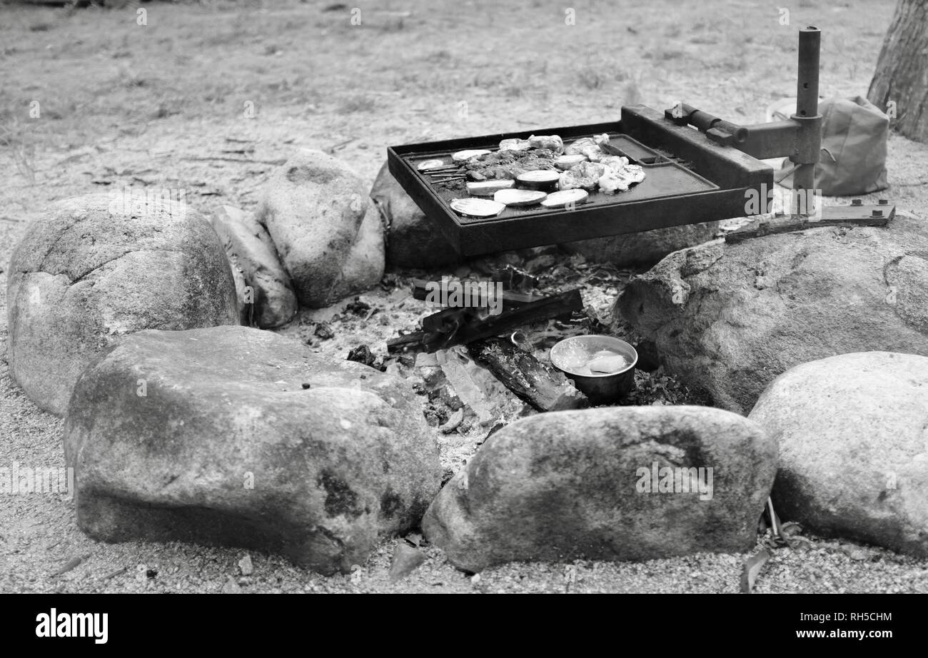An australian style bush bbq with food cooking over a campfire, Finch