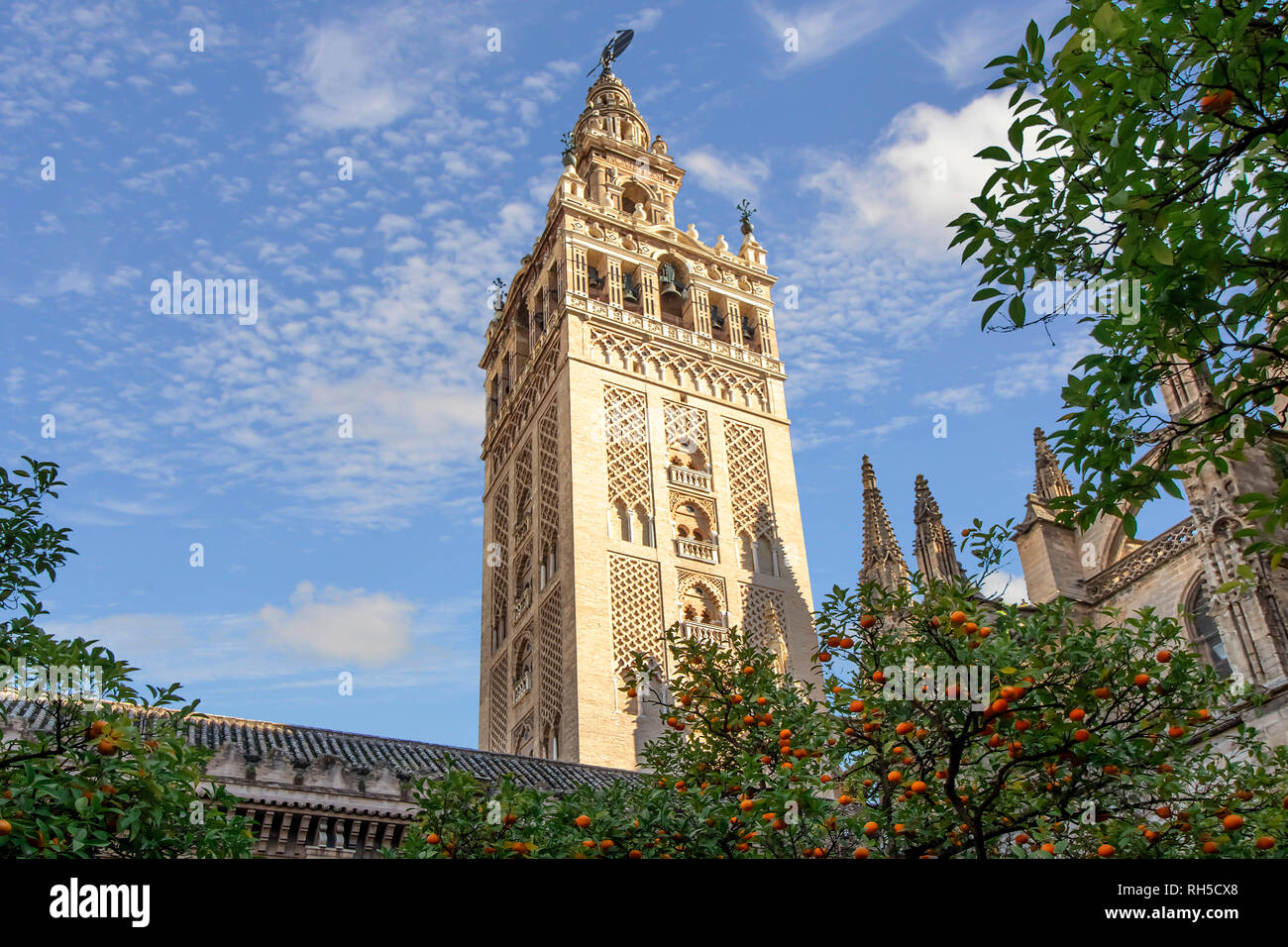 View Of Giralda Tower Of Seville Cathedral Of Saint Mary Of The See ...