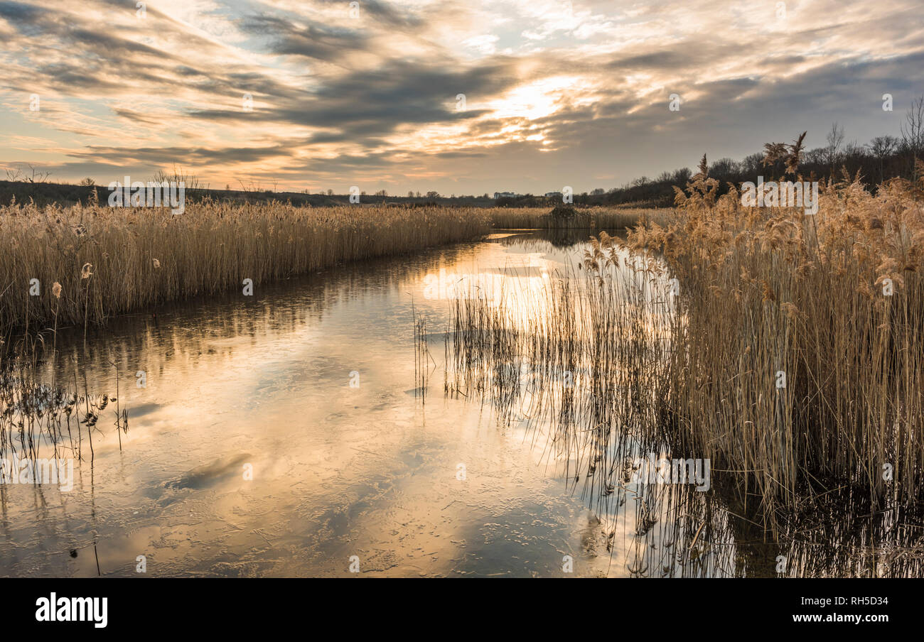 A cold winter day at Star Pit Local Nature Reserve, a former brick pit