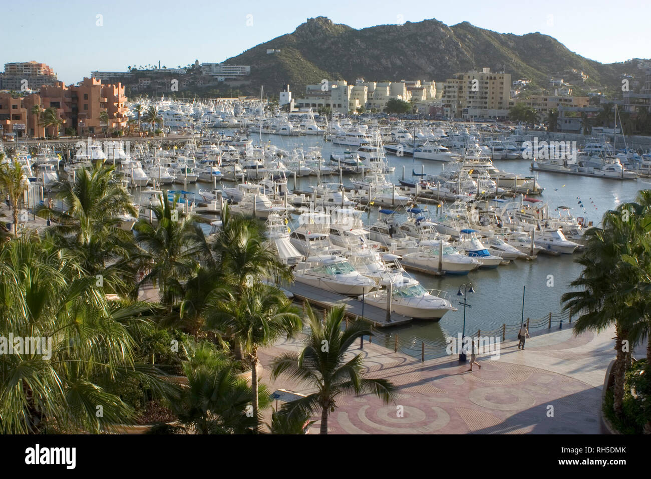 Marina cabo san lucas baja caifornia sur mexico Stock Photo - Alamy
